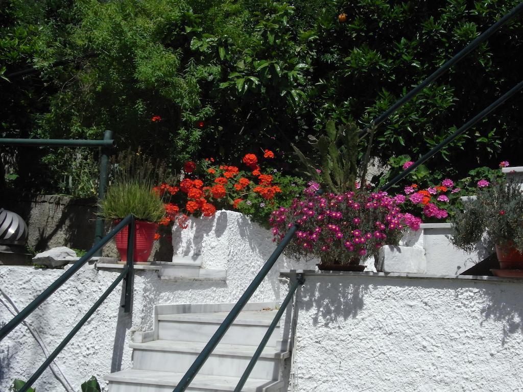 Villa Yiannis (Adults Only) Megali Ammos  Zewnętrze zdjęcie