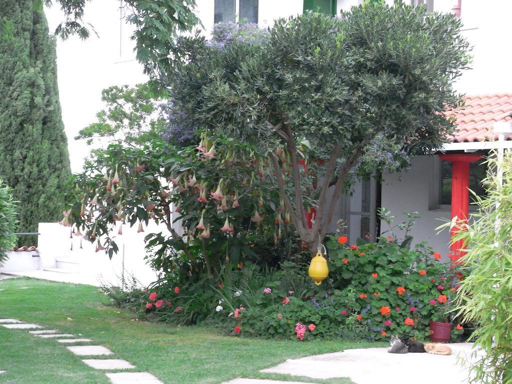 Villa Yiannis (Adults Only) Megali Ammos  Zewnętrze zdjęcie